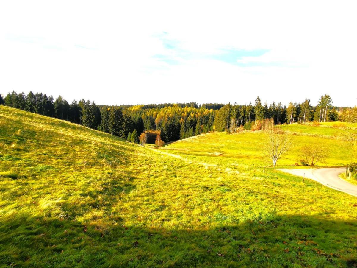 Ferienwohnung Am Bergmannsbrunnen Schönheide Eksteriør billede